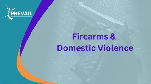 firearm-domestic-violence